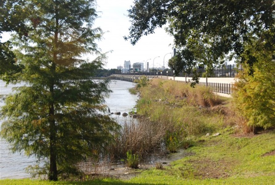 Lake Underhill path greenery, NAR NXT Environmental Clean Up Field Experience, 2022