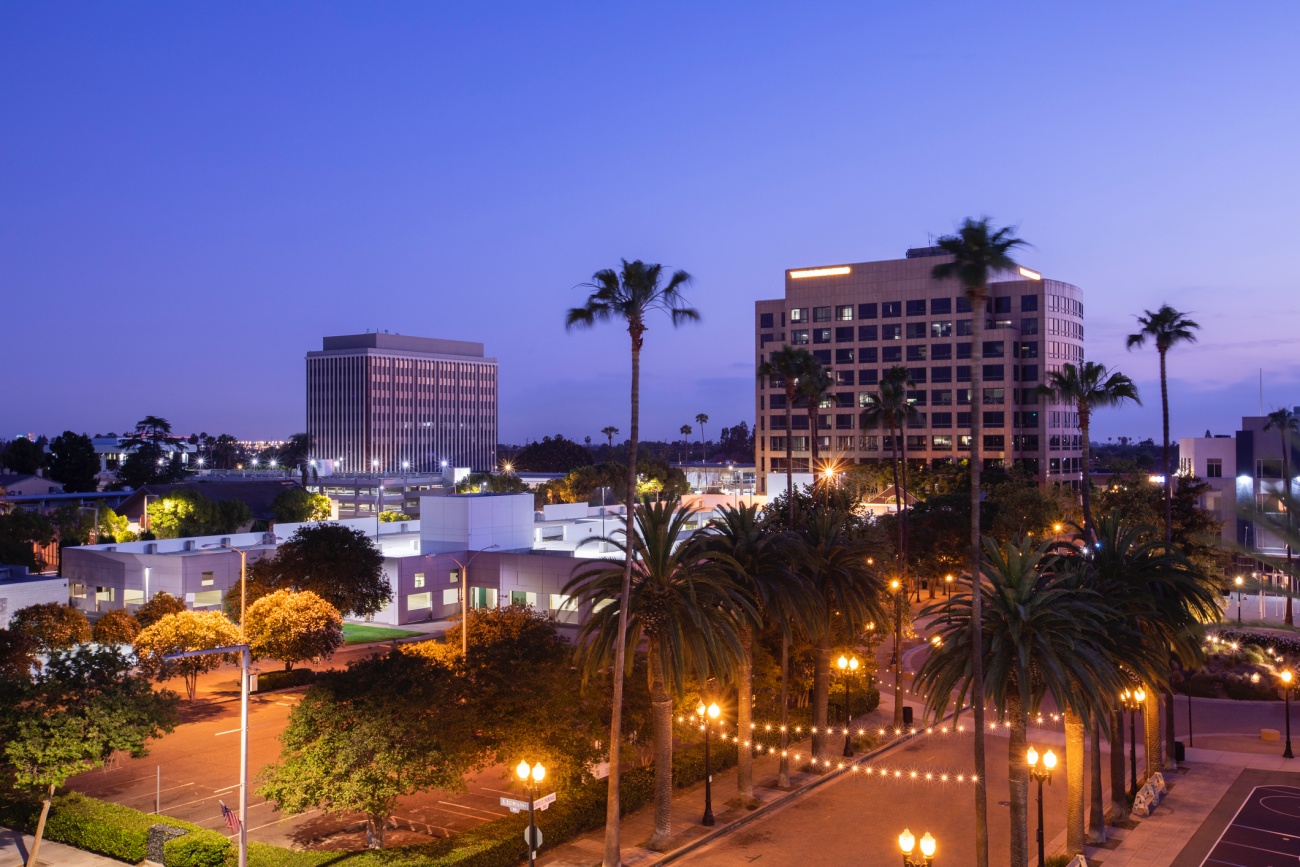 Twilight palm tree framing the skyline of downtown Anaheim, California, USA